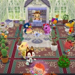 greenhouse that I made a few months ago. I decided to bring it back. #DailyPost... | 동물의 숲 포켓 캠프 컴플리트 | 미니맵