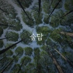 애기나팔꽃