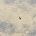 다래인터내셔널 주식회사 | 다래