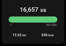 샐러디아 가락점 | 오늘 걸음수 마트다녀온다고 늘어났다