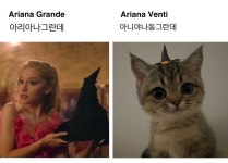 혹시 대전 쪽에서 skt 쓰시는 분 중에