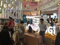 레드페이스롯데상록 | 이곳은 롯데 광복점