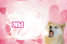 22사 의근대 | 22사 모여라
