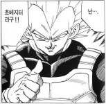 초사이어인4가 되고 싶은 베지터