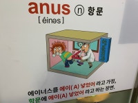 엘2영어리딩센터학원 | 요즘 애들 영어학원에서 가르치는 것