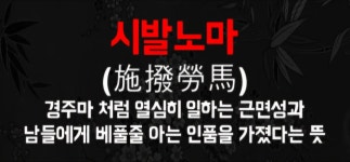 덕이네회초장집 | 회는 초장임