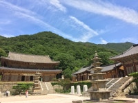 화엄사