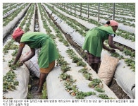 그림모든오피아 | 빠르게 성장하는 에티오피아, 스마트농업 도입이 혁신의 중요한 변곡점 되길 | 나라경제 | KDI 경제교육·정보센터