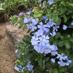 한택식물원내간이매점 | 한택식물원 - 방문자 269명의 팁 7개에서의 사진