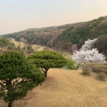 한성컨트리클럽구내식당자동판매기 | 한성 CC / Hansung Country Club - 마북동 - 방문자 250명의 팁 4개에서의 사진