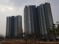 '새솔동 송산신도시대방노블랜드더퍼스티지1차'의 KB시세, AI예측시세, 실거래가, 매물, 대출정보, 커뮤니티 | KB부동산 '새솔동...