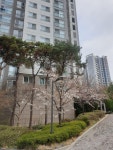 KB부동산 - 아파트 시세, 실거래가, 분양, 빌라시세, AI예측시세, 자산관리