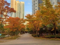 '장기동 고창마을한양수자인리버팰리스' 시세, 가격, 매매, 전세 | KB시세는 KB부동산