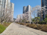 양주옥정신도시대방노블랜드더시그니처 | KB부동산 양주옥정신도시대방노블랜드더시그니처 | KB부동산