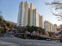 '신림동 관악산휴먼시아(2단지)' 시세, 가격, 매매, 전세 | KB시세는 KB부동산 KB부동산