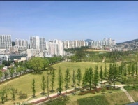 '부암동 일동미라주'의 KB시세, AI예측시세, 실거래가, 매물, 대출정보, 커뮤니티 | KB부동산 '부암동 일동미라주' | KB부동산