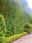 힐스테이트상도프레스티지 서울에서 몇 안되는 자연과 어우러진 아파트🌳 | KB부동산