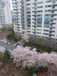 라일락마을(서해그랑블I) 시세, 가격, 매매, 전세