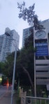 KB부동산 - 아파트 시세, 실거래가, 분양, 빌라시세, 예측시세 KB부동산