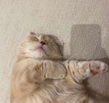 모두 편한밤 되시고 | KB부동산