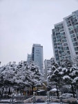 학마을(1단지) 하얀 눈으로 덮인 아파트 외관 풍경 | KB부동산 학마을(1단지) 하얀 눈으로 덮인 아파트 외관 풍경 | KB부동산