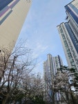 은어송마을1단지(풍림아이원) 아파트 산책하며 보는 만개한 벚꽃~~ | KB부동산