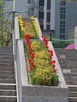 불당리더힐스 단지 내 꽃 감상 사진이에요~! | KB부동산