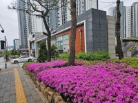 불당리더힐스 단지내 식재된 꽃이 활짝 피었어요 | KB부동산 불당리더힐스 단지내 식재된 꽃이 활짝 피었어요 | KB부동산