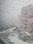 '월평동 제주첨단꿈에그린2단지'의 KB시세, AI예측시세, 실거래가, 매물, 대출정보, 커뮤니티 | KB부동산 '월평동 제주첨단꿈에그린2단지...