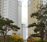 '명지동 부산명지중흥S클래스프라디움'의 KB시세, AI예측시세, 실거래가, 매물, 대출정보, 커뮤니티 | KB부동산 '명지동...