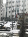 '인계동 선경(3차)'의 KB시세, AI예측시세, 실거래가, 매물, 대출정보, 커뮤니티 | KB부동산 '인계동 선경(3차)' | KB부동산