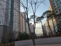 '유가읍 제일풍경채센트럴' 시세, 가격, 매매, 전세 | KB시세는 KB부동산 KB부동산