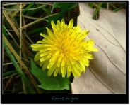 Image 47527 - RaySoda 라비크