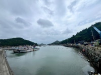 고흥 지죽도…… | 보배드림 베스트글
