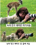 다큐드림디포주 | 극한 직업 자연다큐 제작진들 | 보배드림 신유머/이슈/움짤