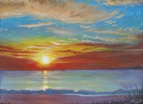 sun of woorim beach (선 오브 우림비치) | 보배드림 정치게시판