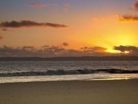 sun of woorim beach (선 오브 우림비치) | 보배드림 정치게시판