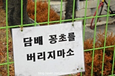 강원고속사창리터미널 | 춘천터미널의 강원고속 | 보배드림 트럭/버스/중기