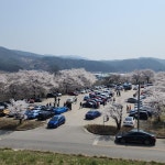 산본역 4번출구 모범택시 | 모범택시가 되어보았습니다. | 보배드림 국산차게시판