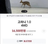 sk엔카 레전드 매물 | 보배드림 국산차게시판