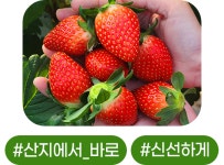 푸드마켓버들점정육 | 푸드장 | 신선한 고기 배송 쇼핑몰
