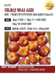 국내산 상급 부사사과 꼬마과 1kg 12-16과