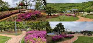 파주의봄BominPaju | 경기도뉴스 상세 | 경기도소식 | 새소식 | 부천소식 | 부천시청 경기도뉴스 | 경기도소식 | 새소식 | 부천소식 | 부천시청