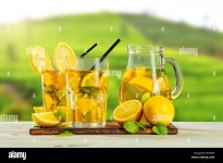 Page 14 - Tea Plant High Resolution Stock Photography and Images - Alamy