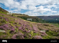 Page 33 - Clough High Resolution Stock Photography and Images - Alamy