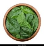 숙도시락 | Oleracea hi-res stock photography and images - Alamy