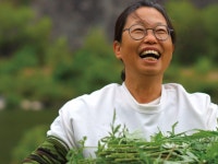 산내부강떡방앗간 | 해피빈 향긋한 쑥 내음을 듬뿍 담은 영월 수제 쑥떡