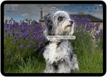 춘광사사진만들기 | iPad에서 사진으로 스티커 만들기 - Apple 지원 (KR) iPad에서 사진으로 스티커 만들기