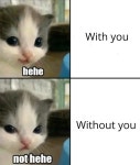 Hehe Cat: Image Gallery | Know Your Meme Know Your Meme