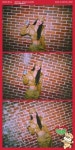 The Present - 나무위키 The Present